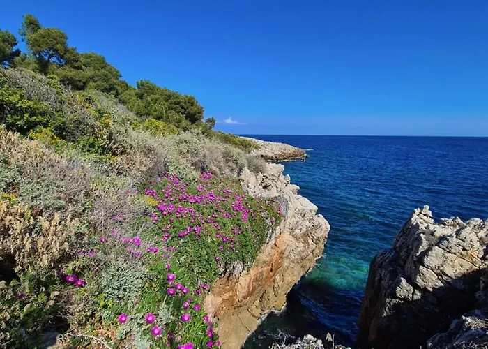 Casalionelantibes Appartement