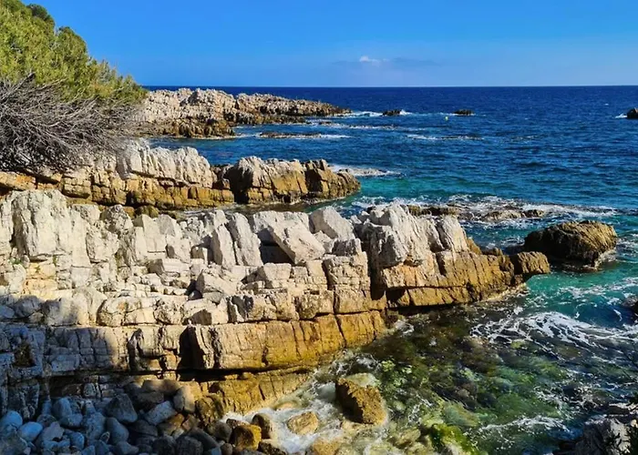 Casalionelantibes Appartement Antibes