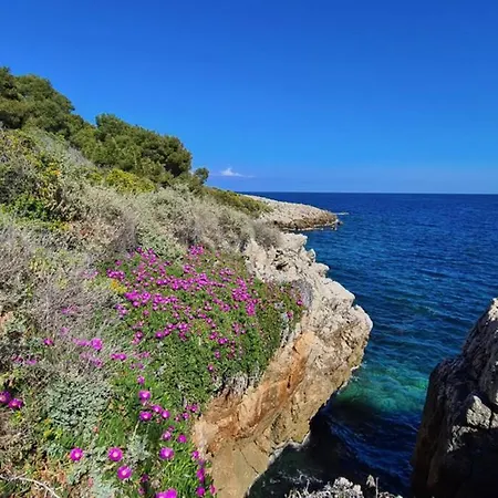 Casalionelantibes Large With Ac, King-size Bed, Garden And Parking 아파트