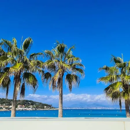 Casalionelantibes Large With Ac, King-size Bed, Garden And Parking 아파트 *