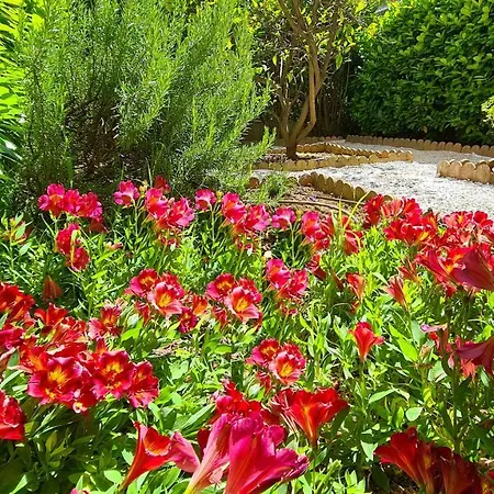 아파트 Casalionelantibes Large With Ac, King-size Bed, Garden And Parking 앙티브