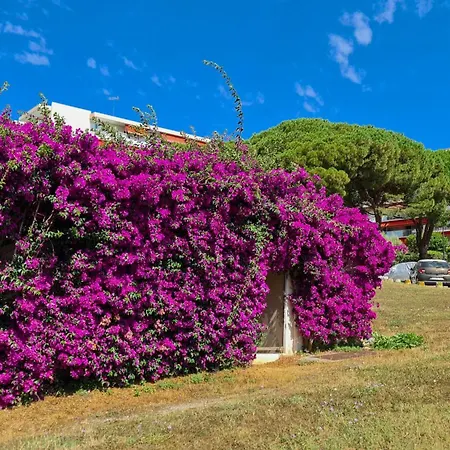 아파트 Casalionelantibes Large With Ac, King-size Bed, Garden And Parking